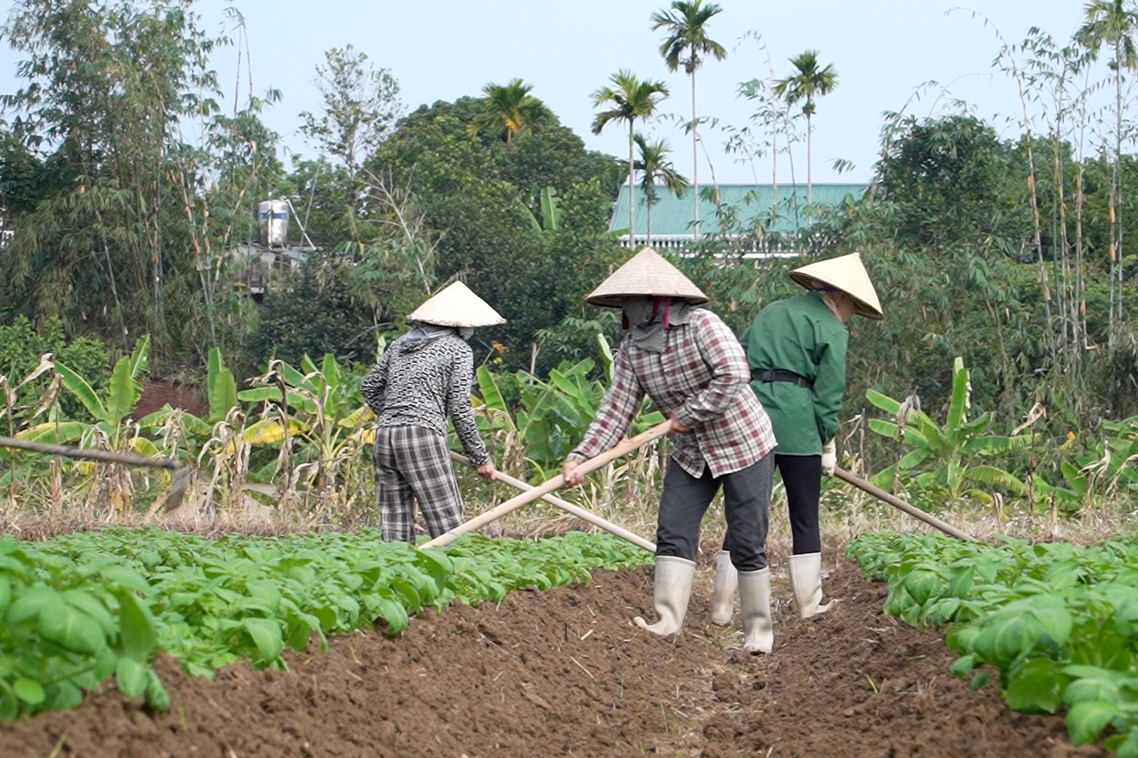 Quảng Ninh tập trung nguồn lực, đẩy mạnh xây dựng Nông thôn mới