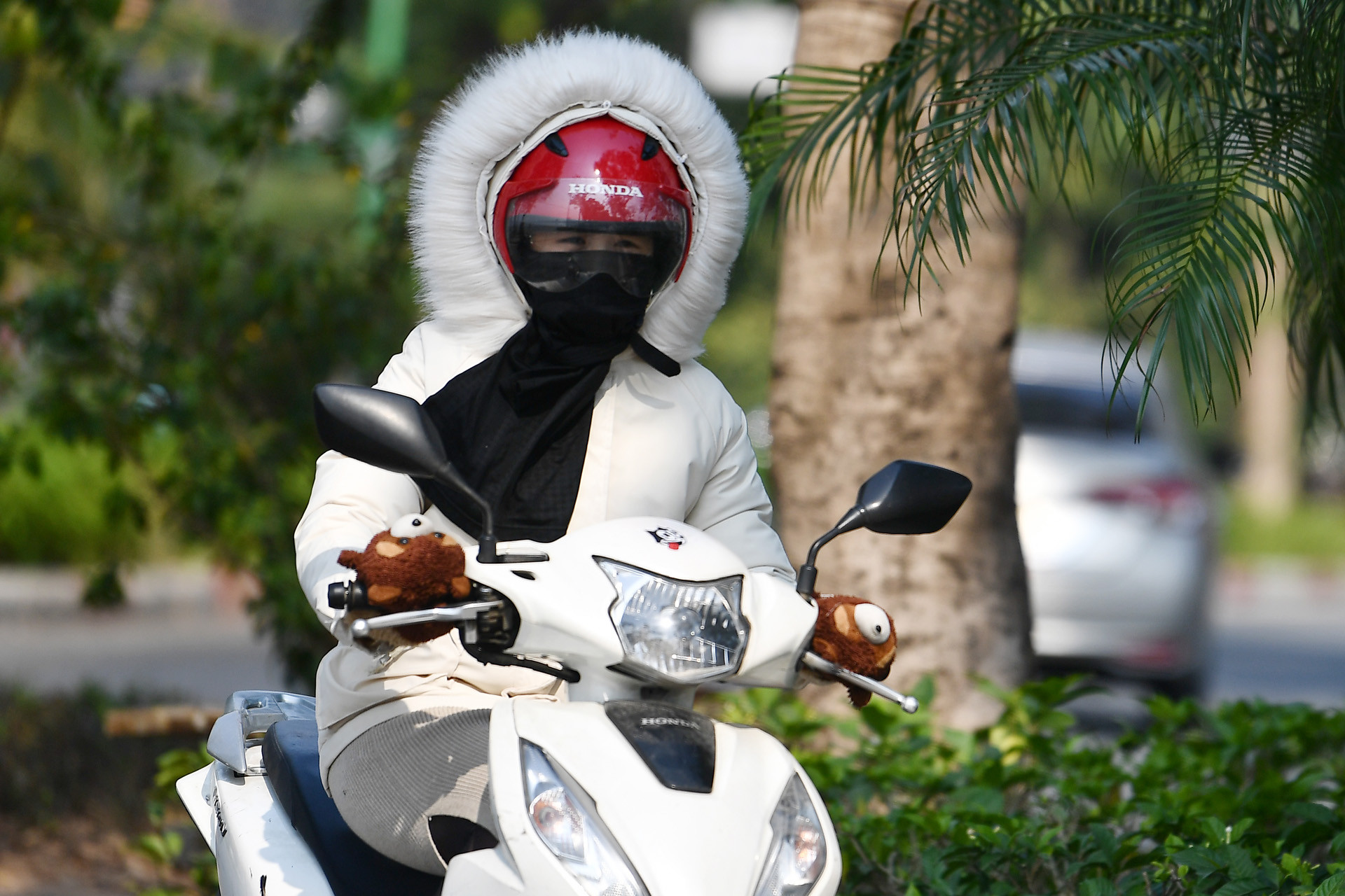 Dự báo thời tiết 6/1/2026: Miền Bắc rét tê tái, Hà Nội thấp nhất 11 độ