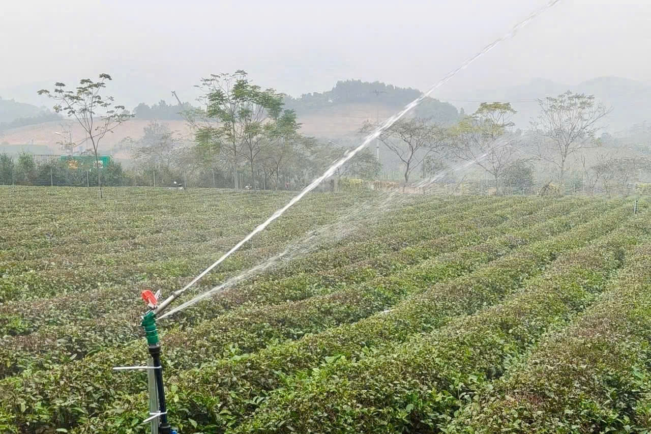 Thái Nguyên: Công nghệ số là 