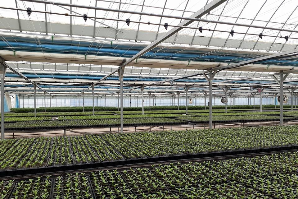 Vương quốc Anh – Việt Nam: Đẩy mạnh hợp tác về thương mại nông nghiệp, hướng đến chuyển đổi xanh