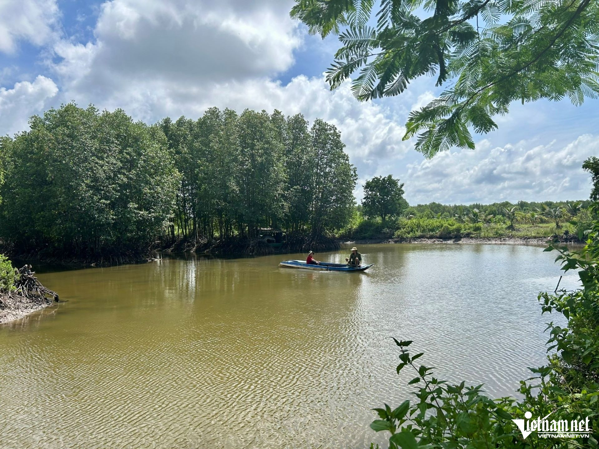 W-42. 31.12 Nuôi tôm nước lợ tiếp tục là trụ cột tăng trưởng ngành thủy sản Cà Mau.jpg