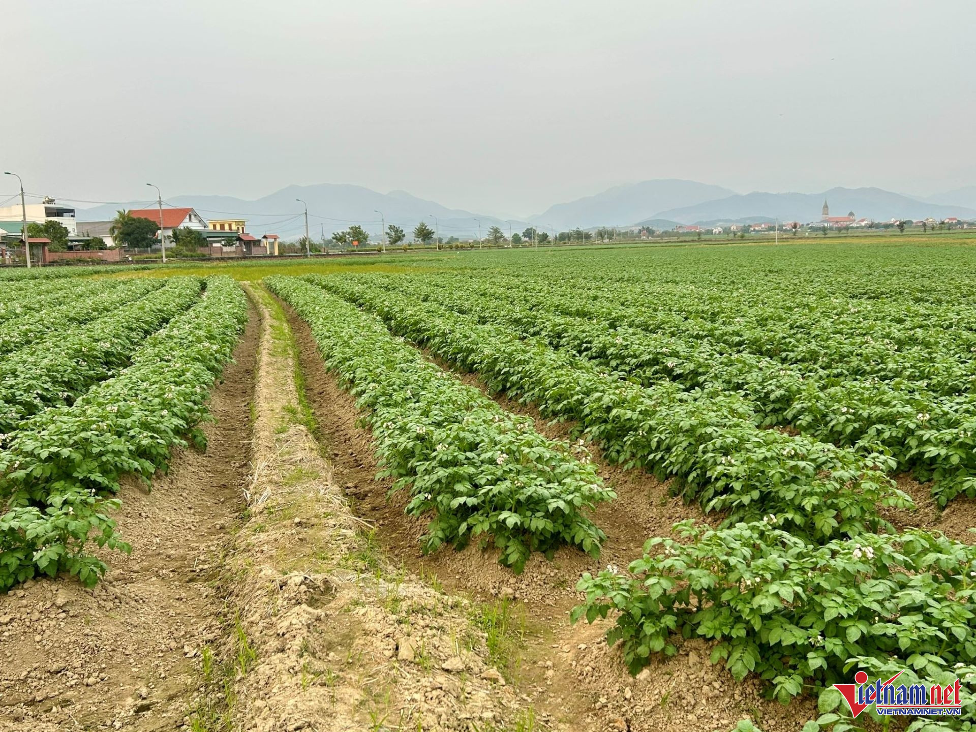 W-42. tin Ngành trồng trọt vào lộ trình sản xuất giảm phát thải toàn diện.jpg