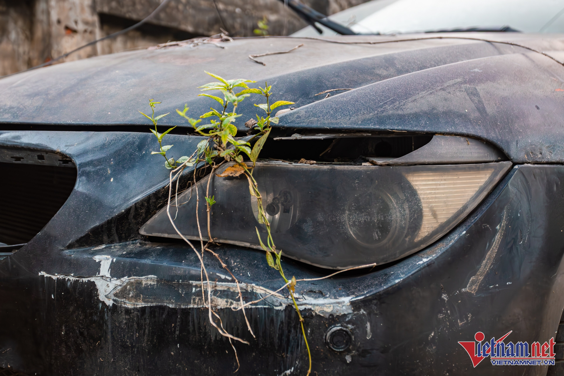 W-alpina b6 9.JPG.jpg