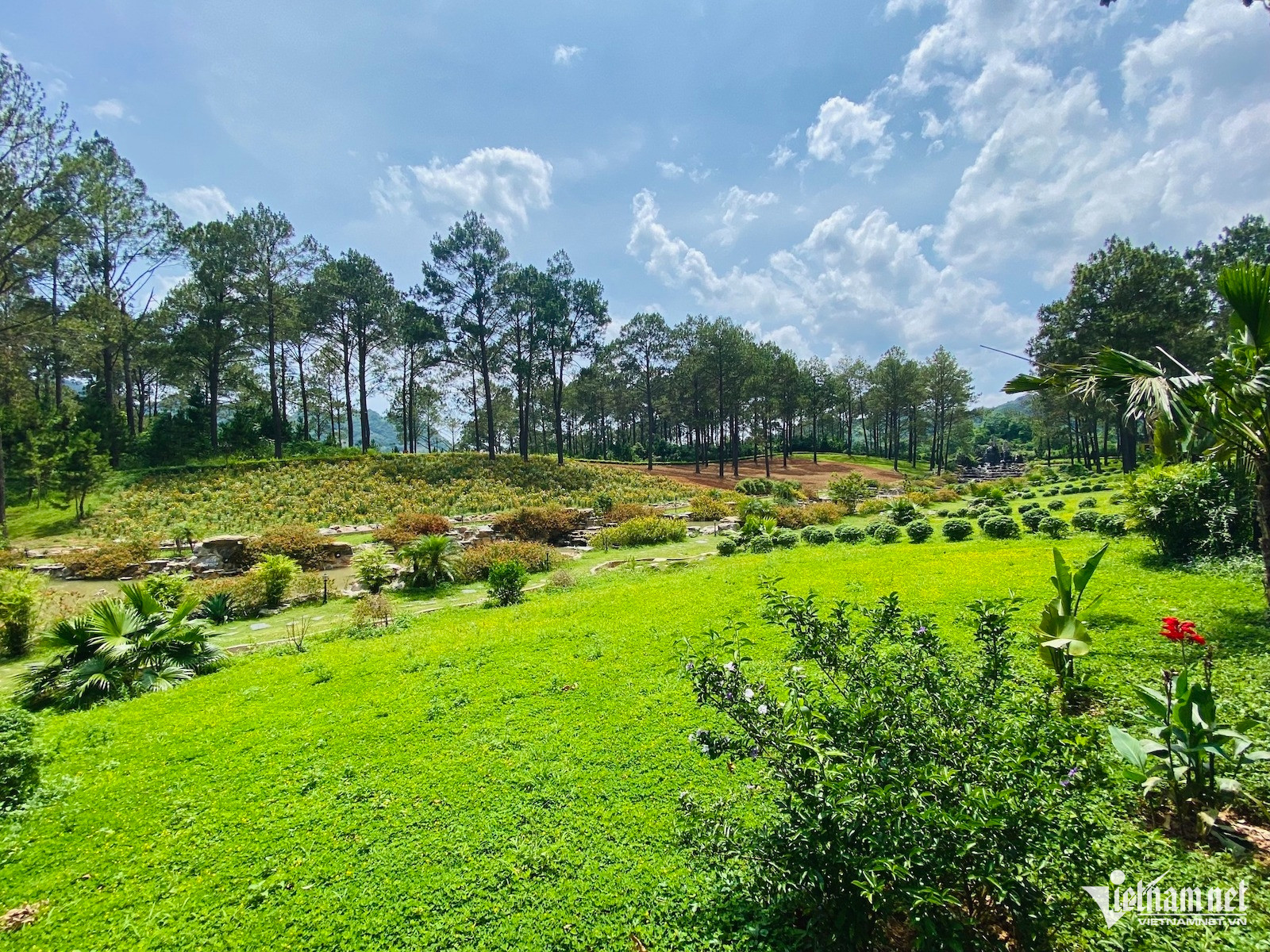 W-homestay dat nong nghiep vietnamnet.jpg