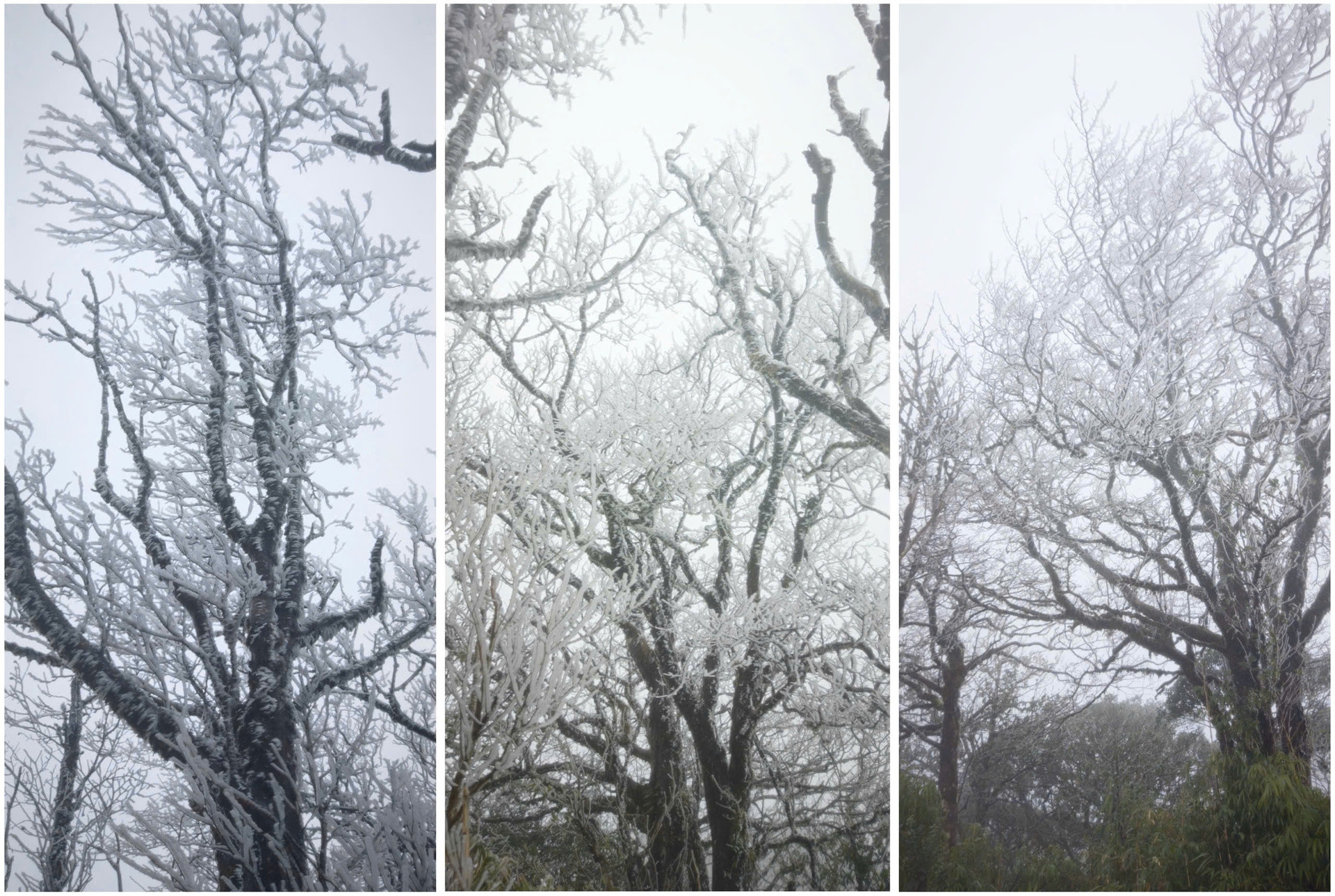 bang gia cao bang Anh_Tam 1.jpg