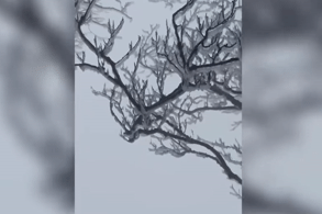 Cảnh tượng băng giá xuất hiện trên 'nóc nhà' thứ 2 của Cao Bằng