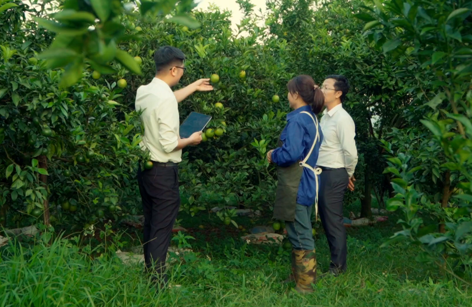 Đẩy mạnh xây dựng CSDL, ứng dụng công nghệ AI trong sản xuất nông nghiệp