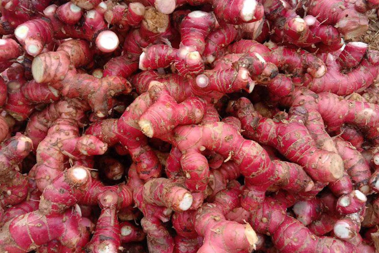 Gia vị quen thuộc trong bếp chữa đau bụng, đầy hơi nhưng 4 nhóm nên cân nhắc