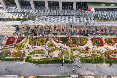 Giới trẻ háo hức diện áo dài check-in vườn hoa Tết sớm cạnh sông Sài Gòn