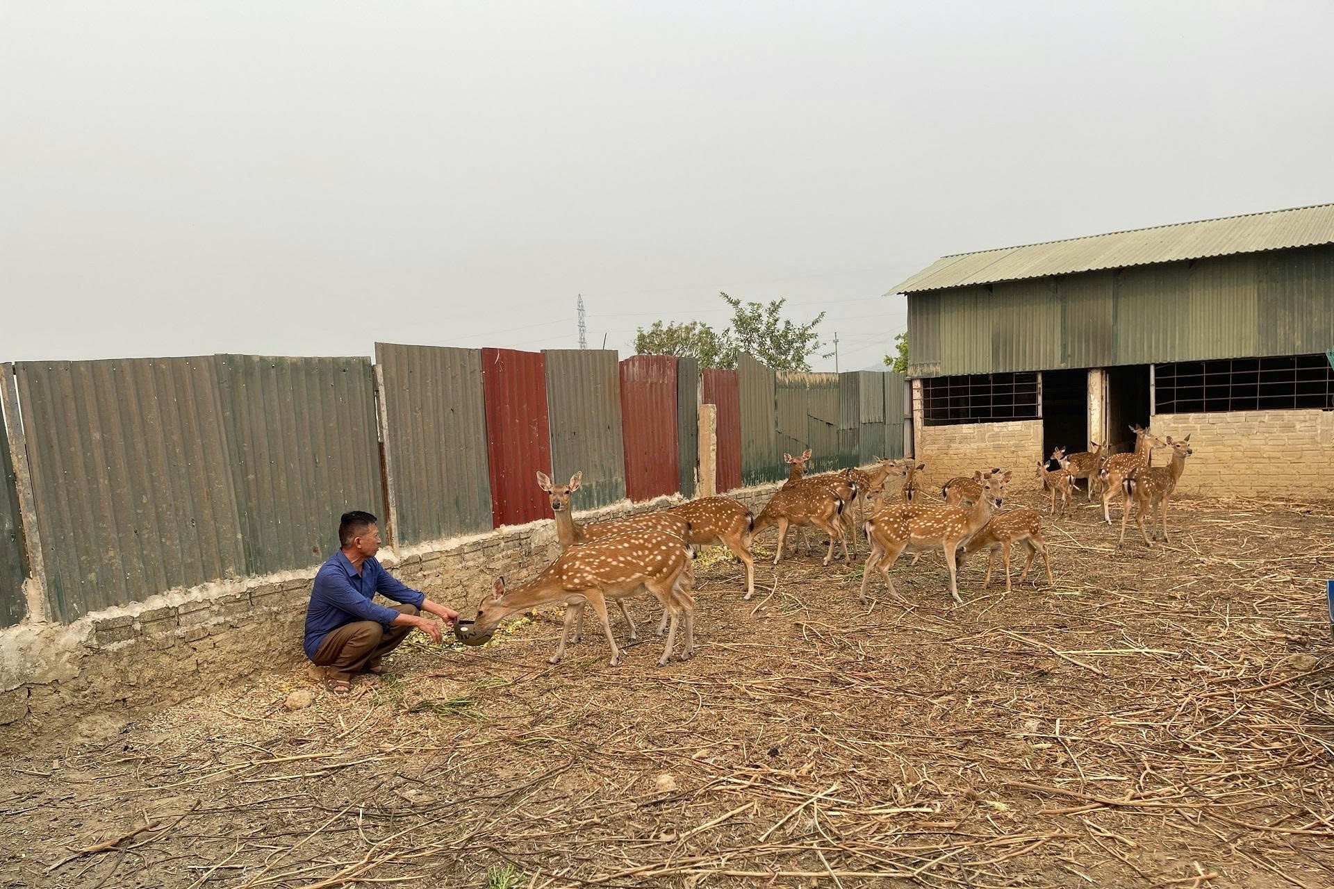 Hà Tĩnh chia sẻ kinh nghiệm xây dựng nông thôn mới với các địa phương
