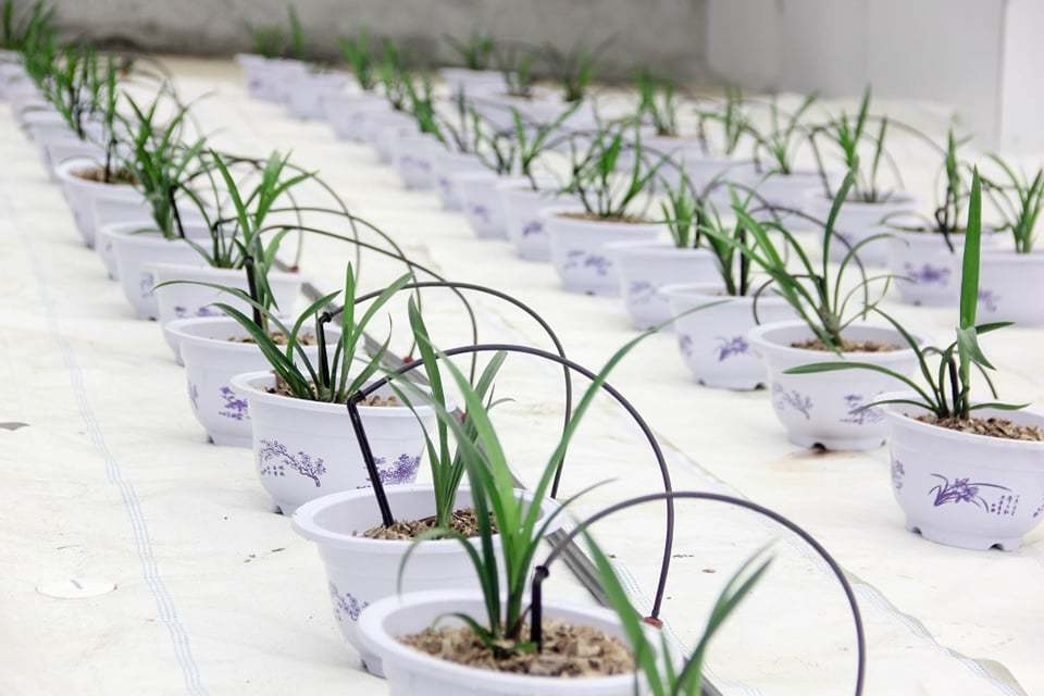 IoT - mạch ngầm len lỏi từ ruộng đồng, đô thị đến từng căn hộ