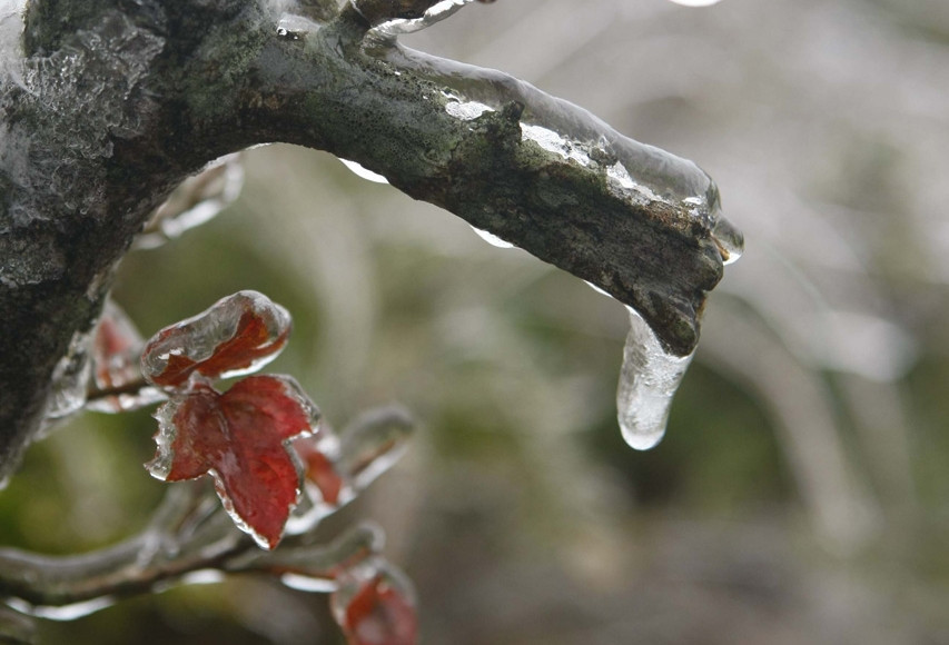 Không khí lạnh tràn sâu, miền Bắc rét đậm, có nơi dưới 3 độ