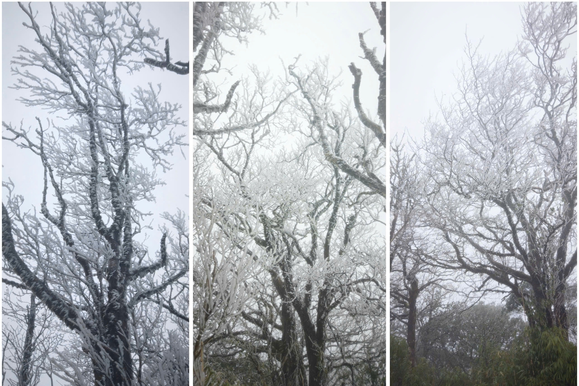 Miền Bắc ghi nhận nhiệt độ thấp nhất: Mẫu Sơn 2,4 độ