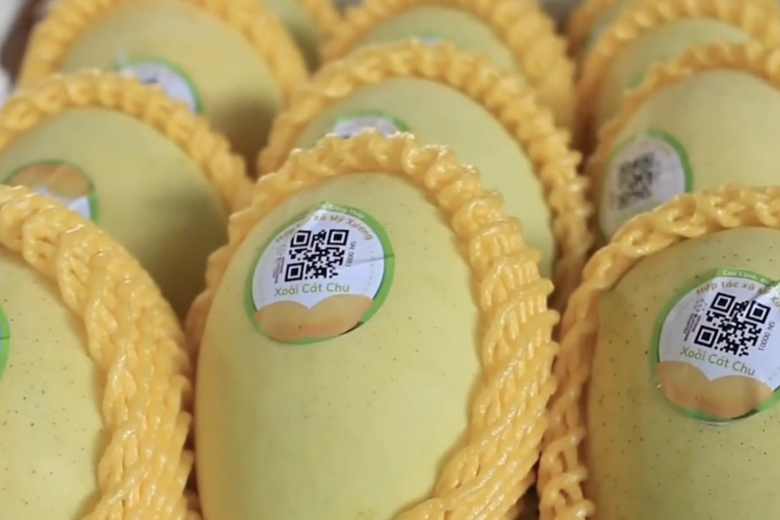 Nhật ký điện tử giúp nông dân Đồng Nai chủ động trên thị trường nông sản