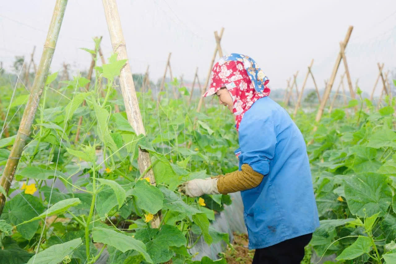 Phụ nữ Mường Mô: Những “đại sứ” thay đổi tư duy, kiến tạo diện mạo nông thôn mới