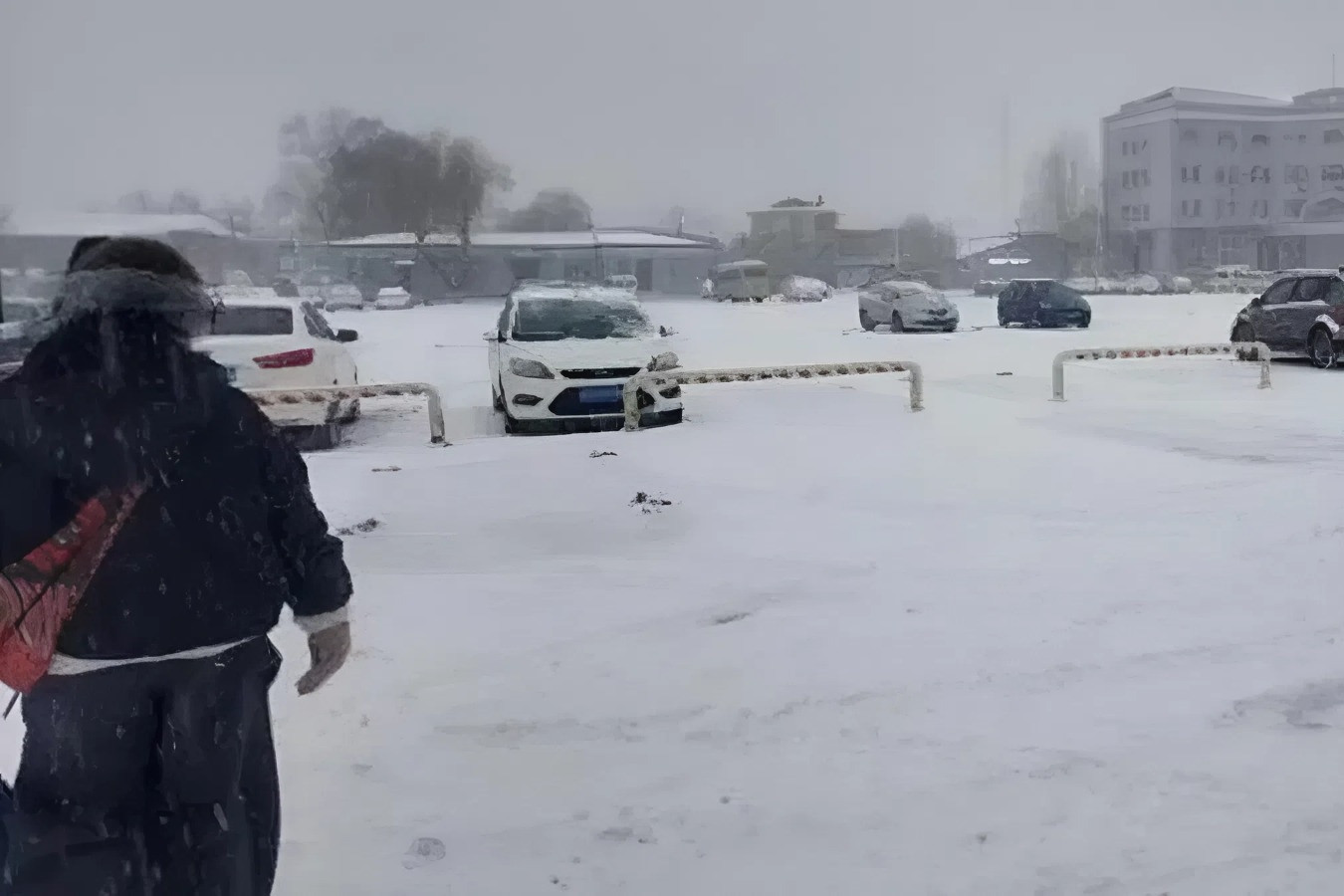 Sợ bà mất trong cô đơn, cháu viết 'tâm thư' mời người lạ đến dự tang lễ