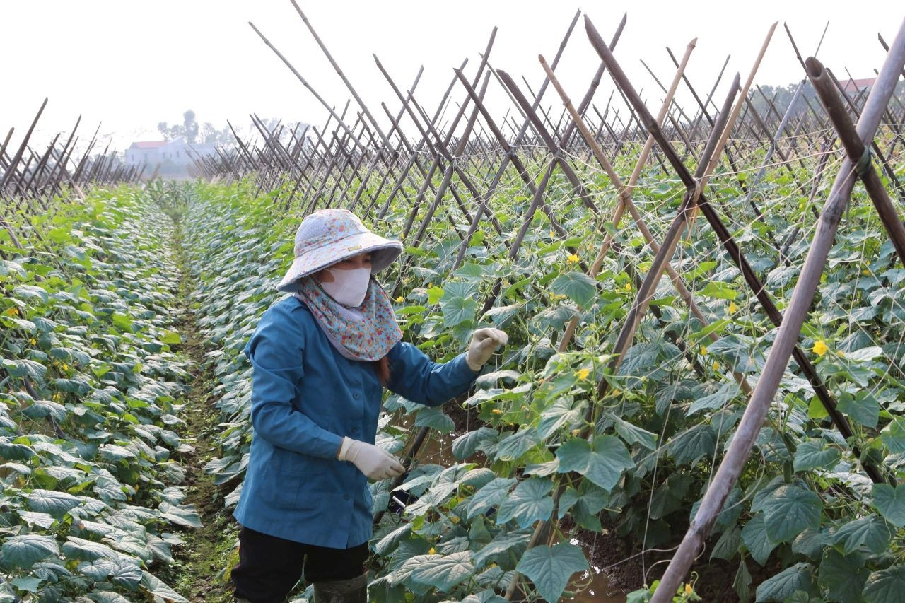 Tri Lễ: Sức mạnh lòng dân làm nên diện mạo nông thôn mới