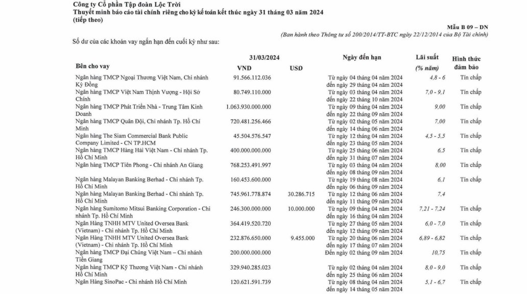 Vay nợ ngắn hạn LTG.jpg