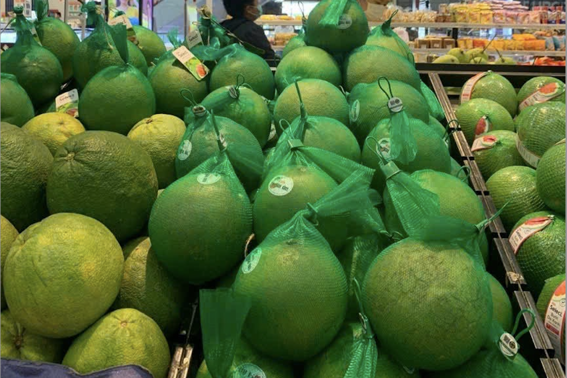 Việt Nam tăng cường hợp tác với Liên hiệp Vương quốc Anh và Bắc Ireland