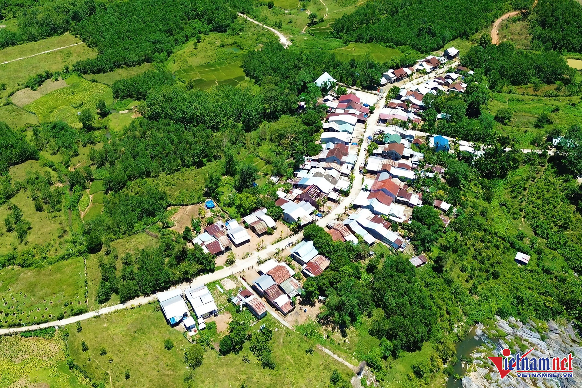 W-Anh 2 lines scale 2_00x gigapixel.jpg