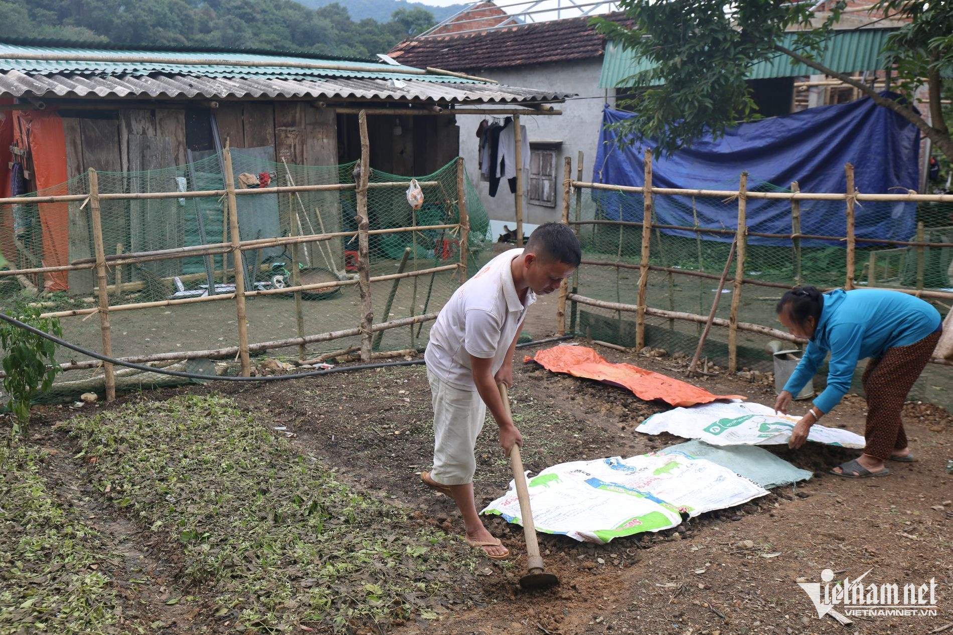 W-Bà Quế cùng con trai tranh thủ trồng rau trước nhà tạm.JPG.jpg