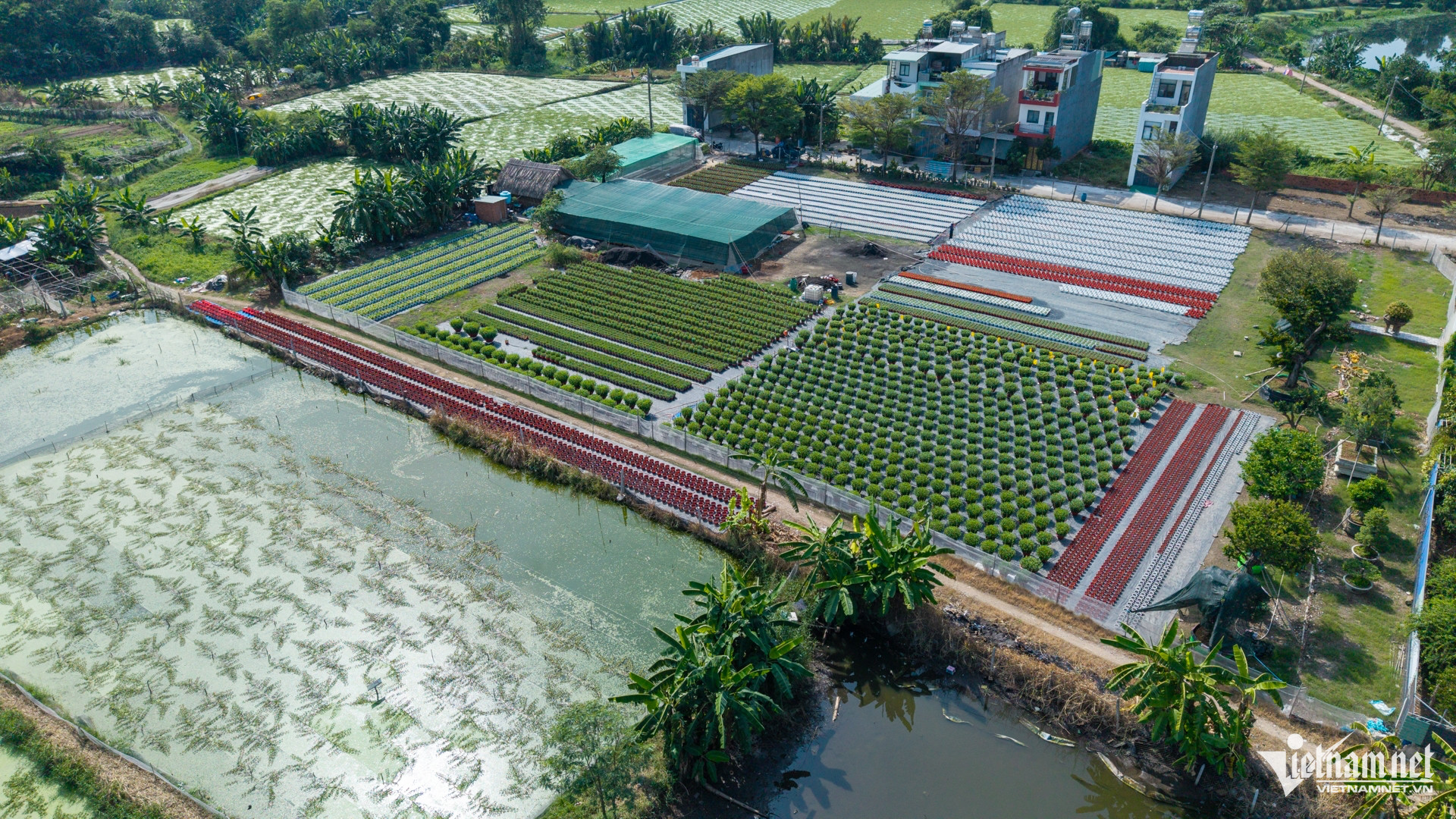 W-Hoa Tuấn Hùng 55.jpg