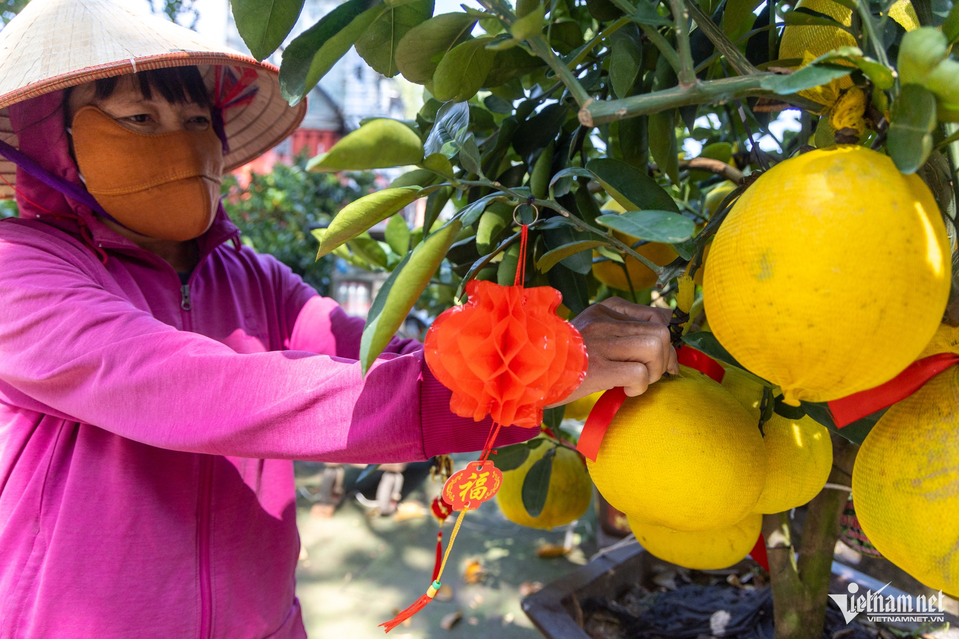 W- Thị trường hoa ngày tết   Tuấn Hùng 120.jpg