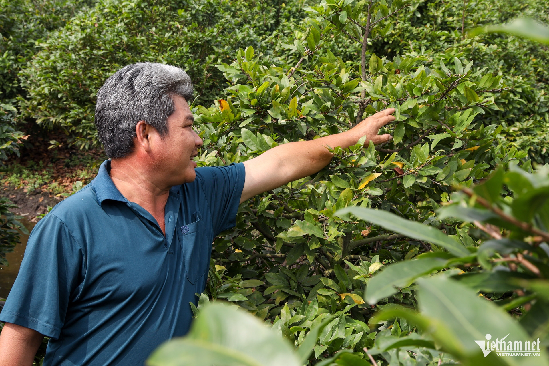 W- Thị trường hoa ngày tết Tuấn Hùng 52.jpg