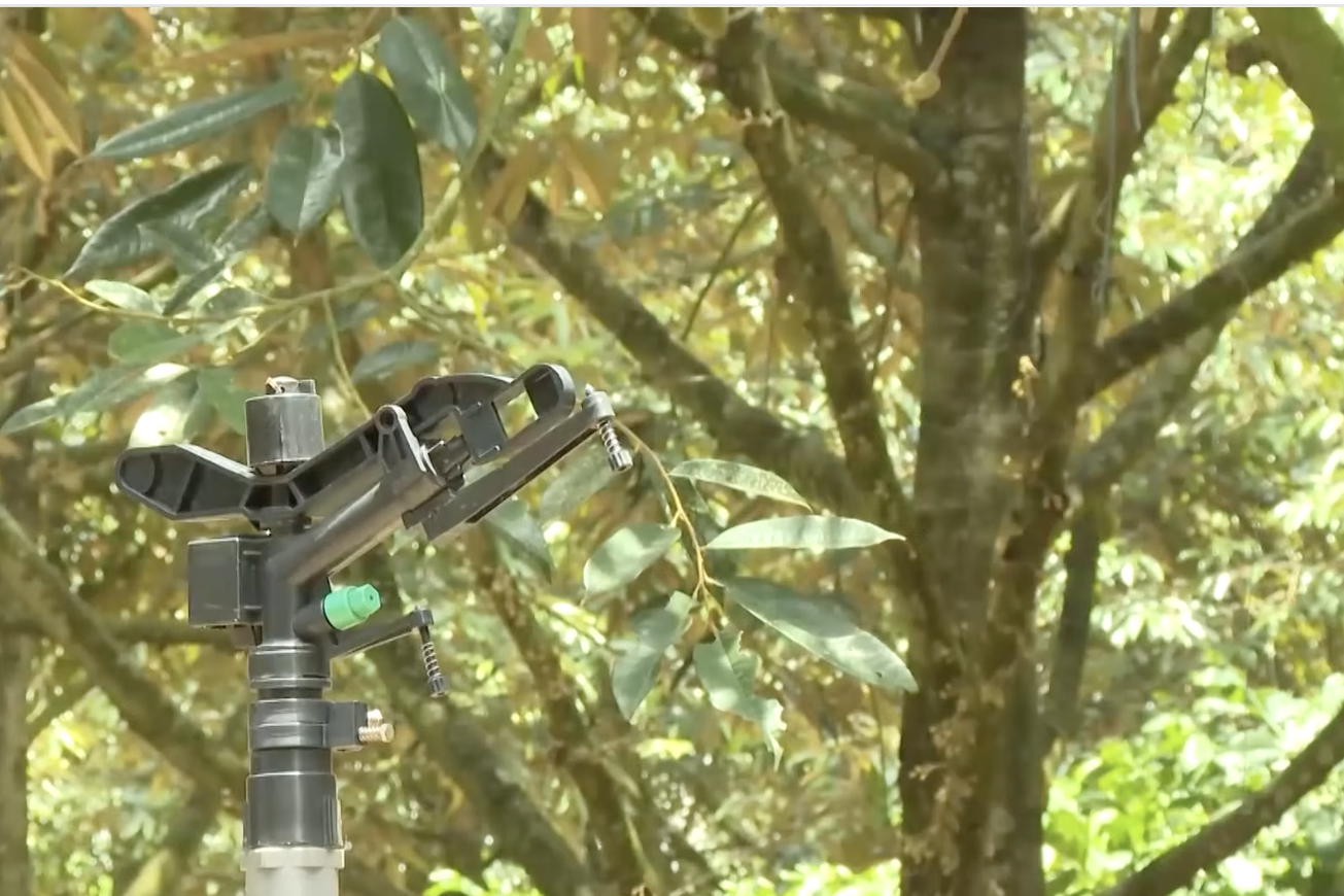 Đắk Lắk ứng dụng công nghệ, nâng cao năng lực dự báo thị trường nông sản