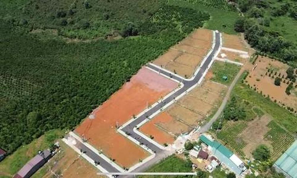 lua dao du an ma.png