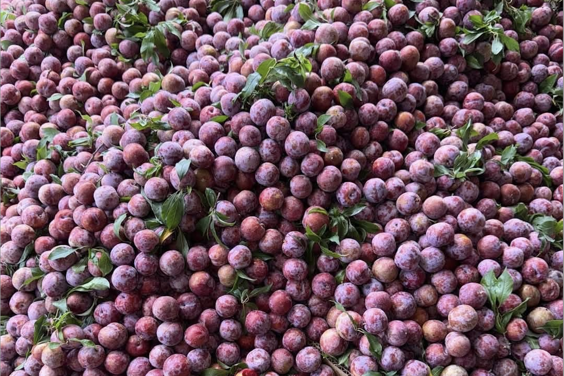 Thương vụ Việt Nam tại Ả-rập Xê-út quảng bá sản phẩm xuất khẩu
