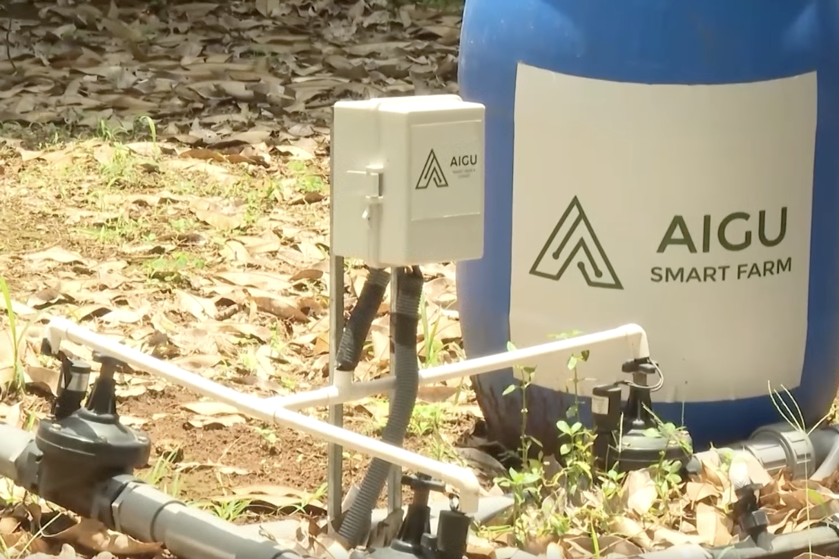 Trí tuệ nhân tạo hỗ trợ dự báo, nâng cao hiệu quả chuỗi giá trị nông sản