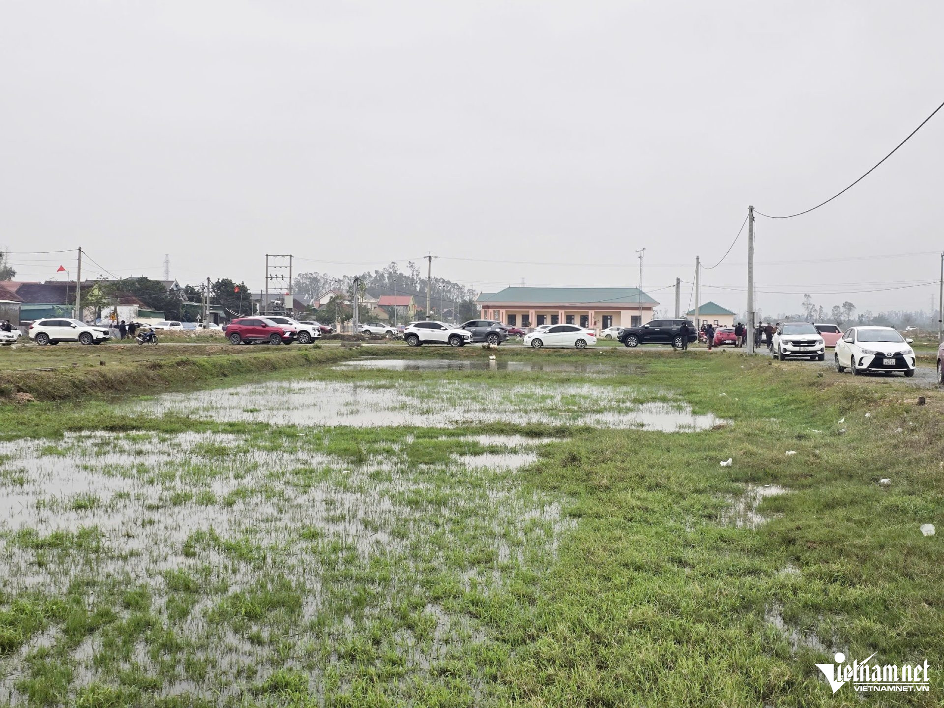 W-a sốt đất Nghệ An4.jpg