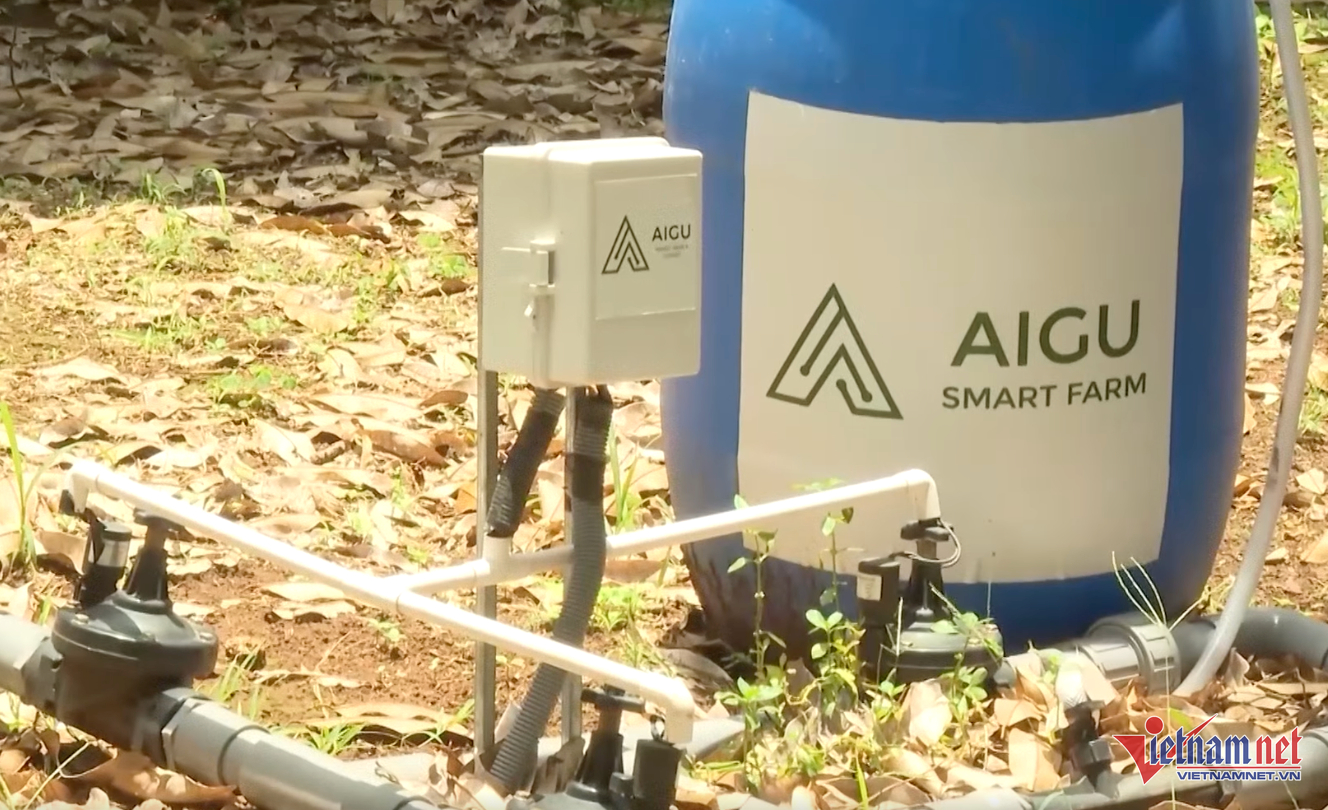 W-nông sản dak lăk.png