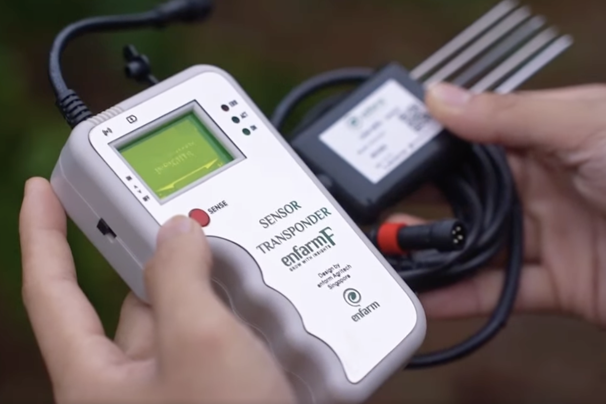 Bắc Ninh bồi dưỡng nhân lực số, nâng cao năng lực dự báo thị trường nông sản