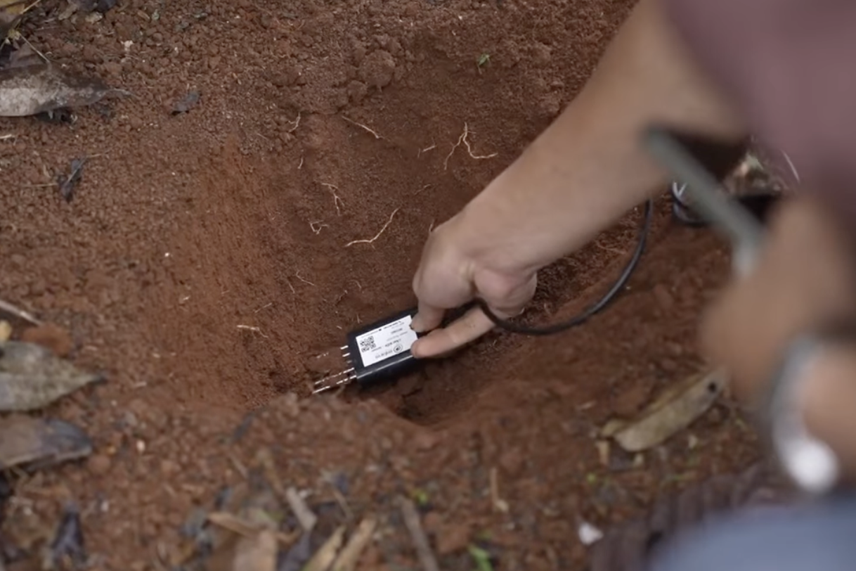 Bắc Ninh đẩy mạnh IoT trong sản xuất nông sản theo dữ liệu