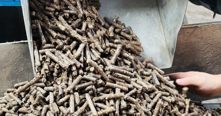 Biến phế phẩm thành hàng có giá cao, doanh nghiệp lần đầu ôm về tỷ USD