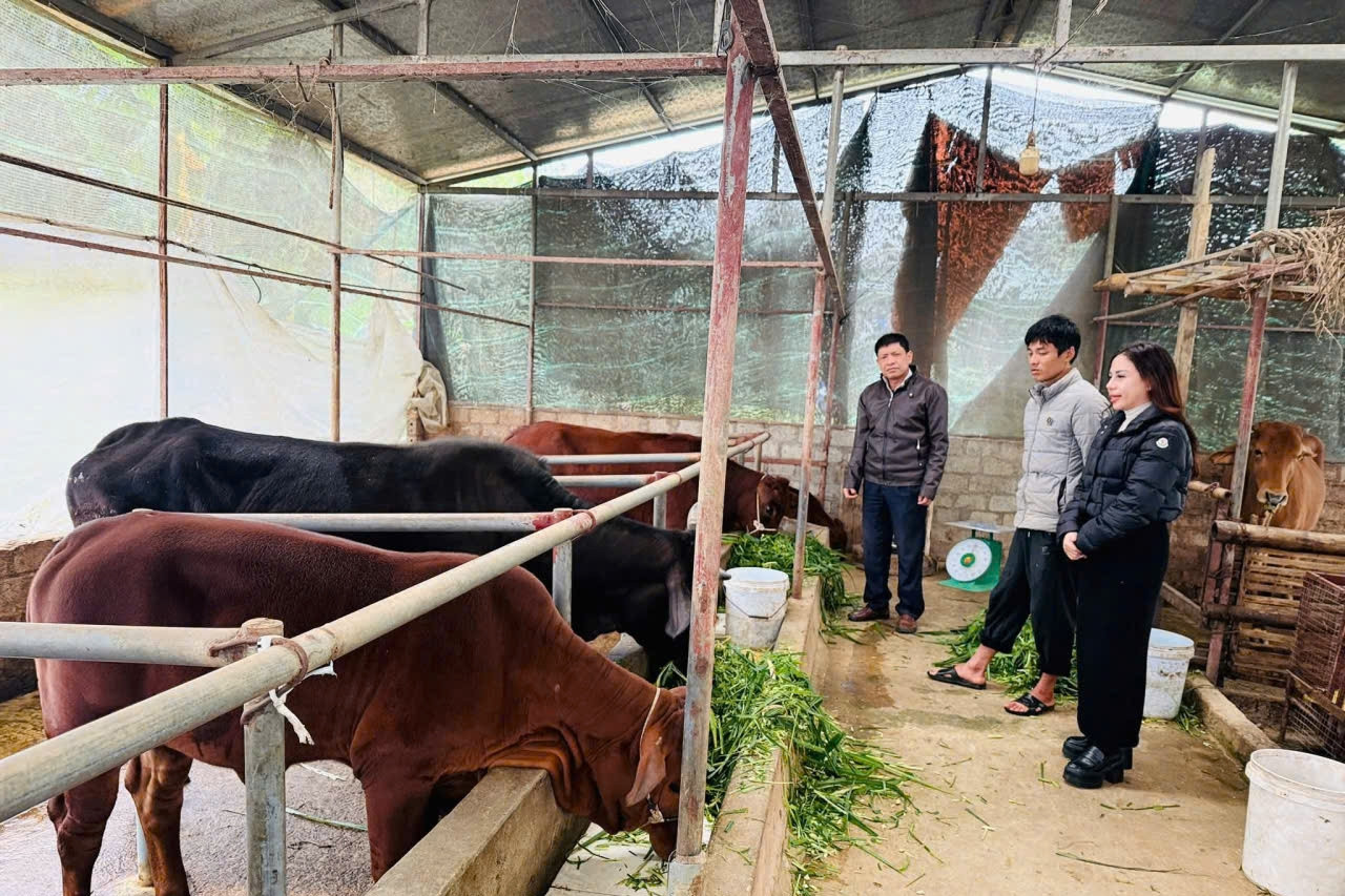 Cà Mau: Người dân đồng lòng xây dựng nông thôn mới bền vững