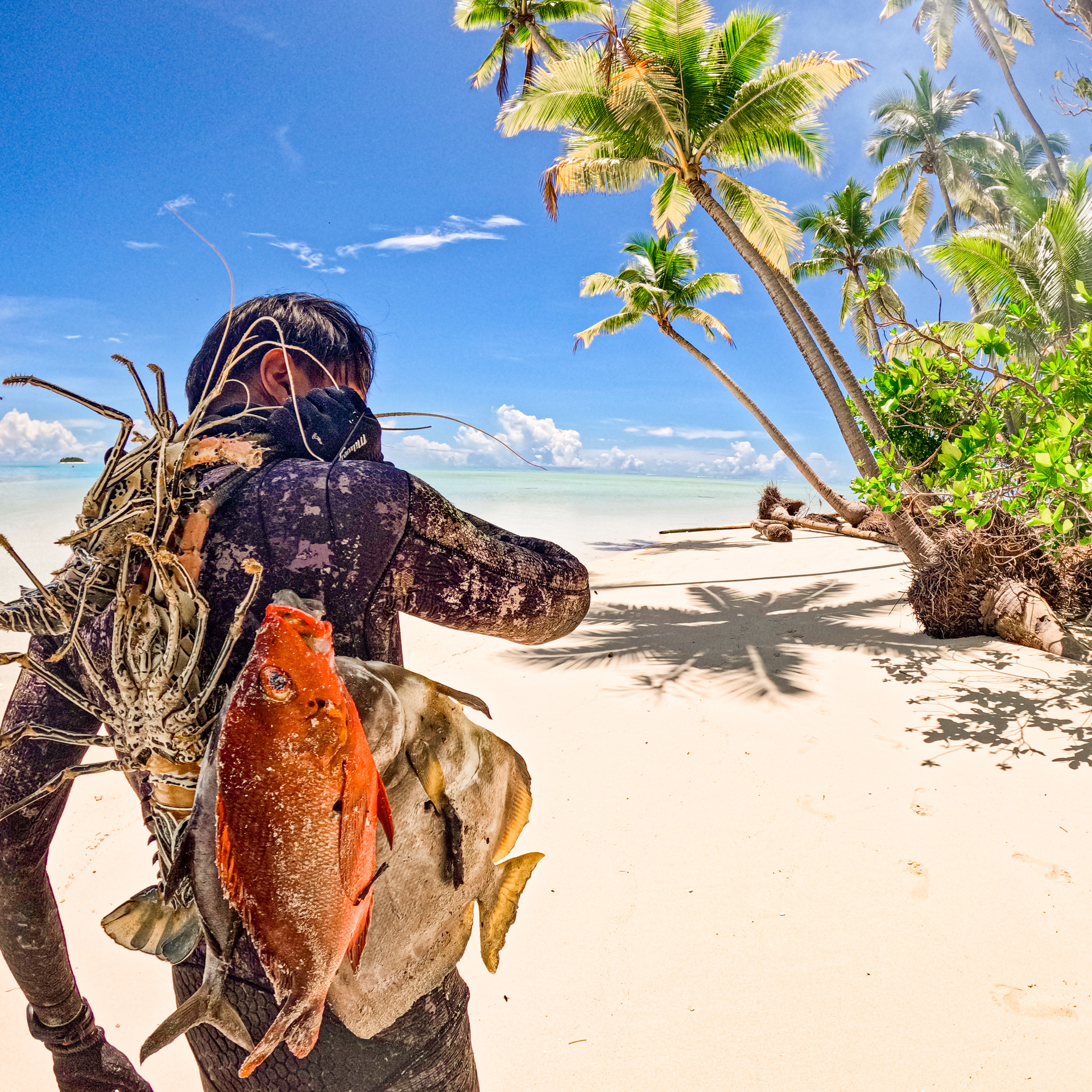 Khách Việt sống hoang dã trên đảo 'bí ẩn', mỗi ngày ăn tôm hùm, cá hiếm du lịch đảo hoang