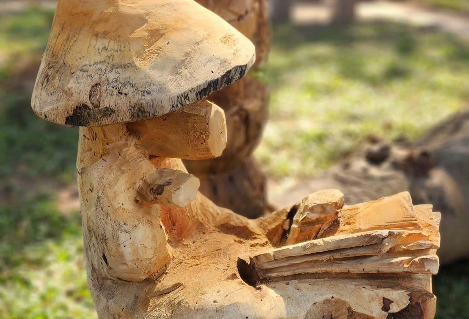 Ngắm ngựa đội nón, đọc sách ở Văn Miếu - Quốc Tử Giám