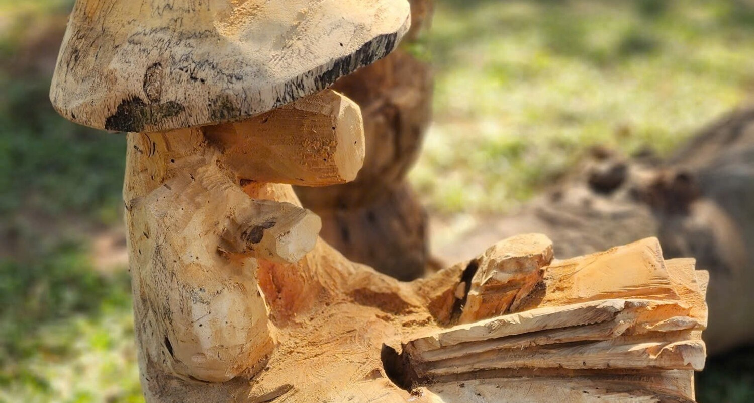 Ngắm ngựa đội nón, đọc sách ở Văn Miếu - Quốc Tử Giám