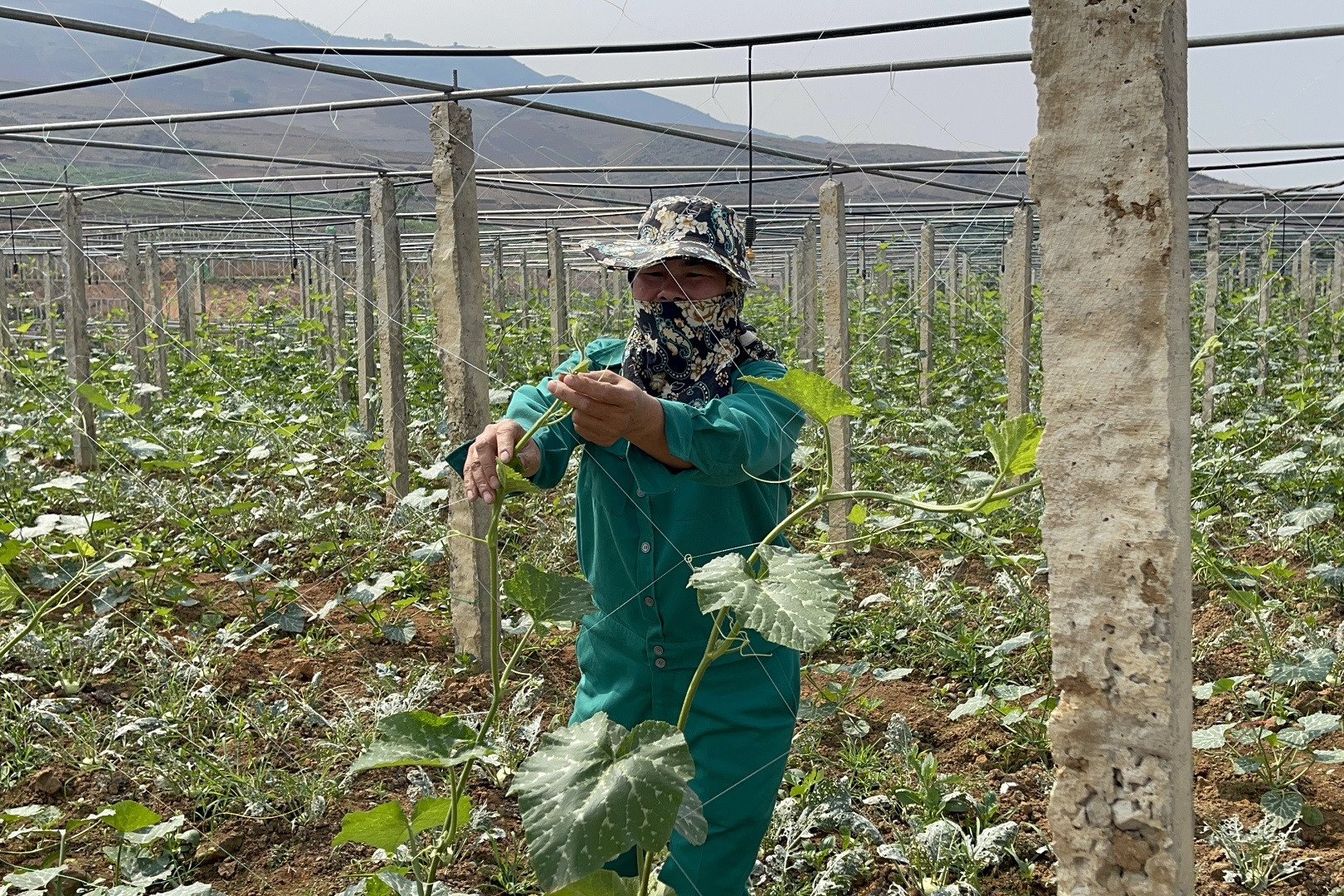 Nông thôn mới ở Điện Biên: Xây dựng lộ trình cụ thể, thích ứng với điều kiện mới