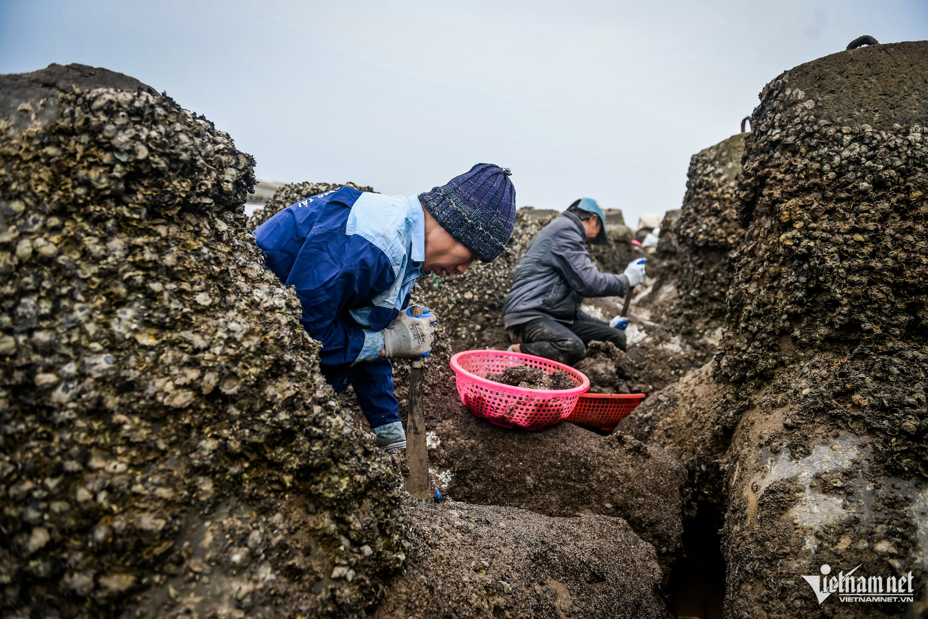 W-Vẹm Ninh bình_3.jpg