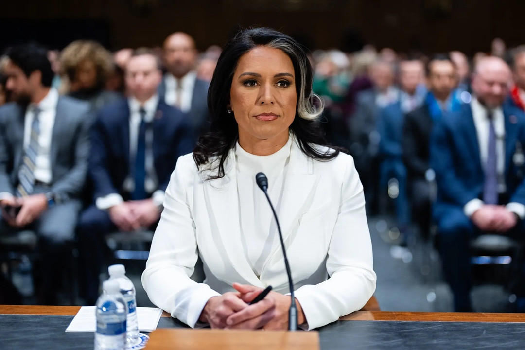 14trump news gabbard mtwp superJumbo.jpg