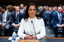 14trump news gabbard mtwp superJumbo.jpg