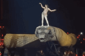 Ca sĩ có màn cưỡi 'rắn khổng lồ' trong concert Thái Y Lâm bất ngờ khởi kiện