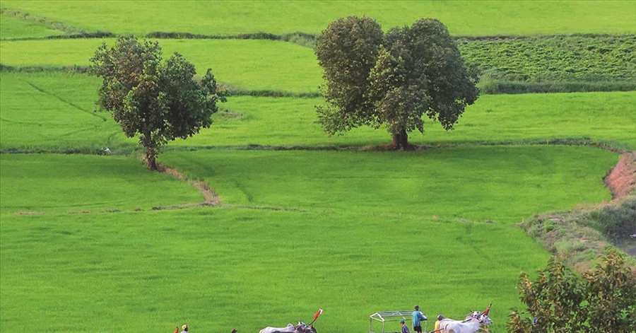 Chương trình Mục tiêu quốc gia: Tạo sinh kế cho đồng bào Khmer vùng Bảy Núi