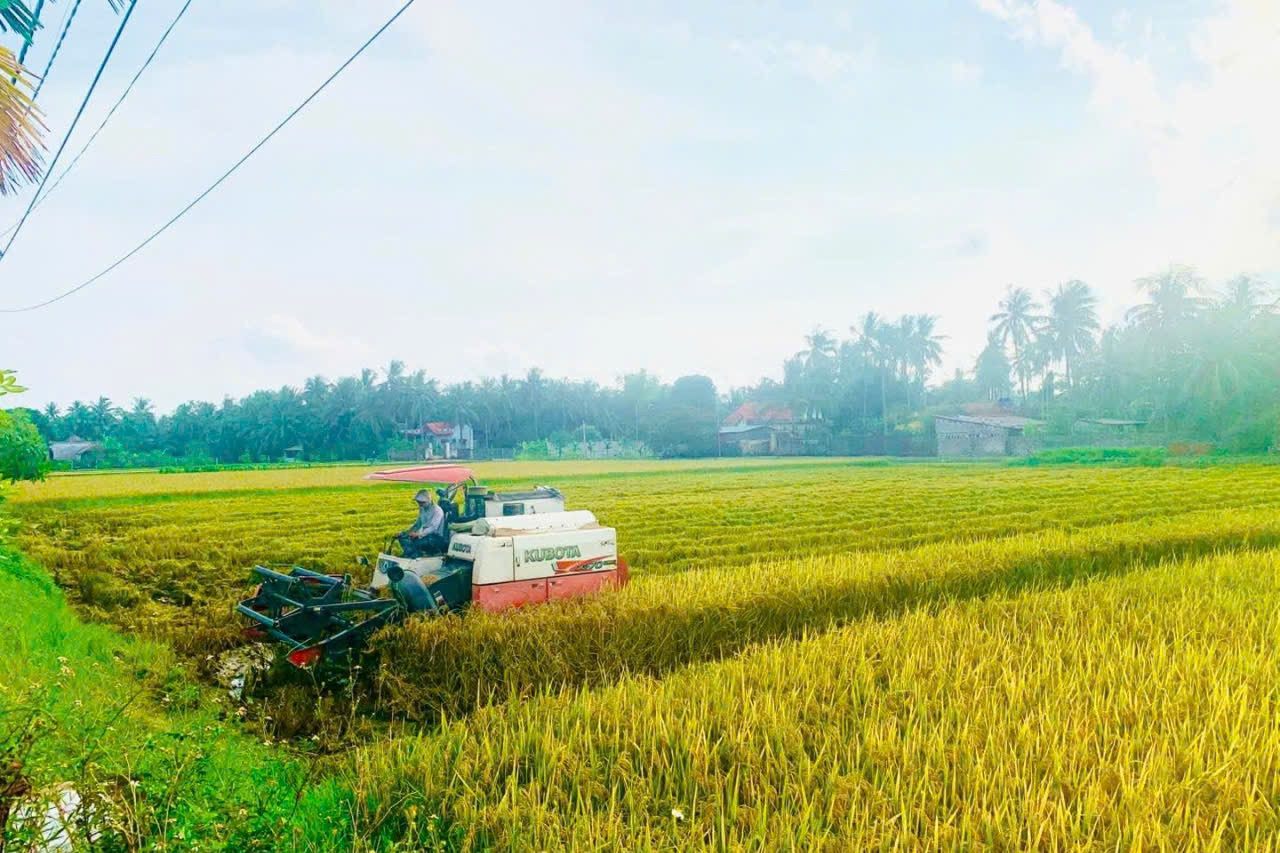 Chuyển đổi số: 
