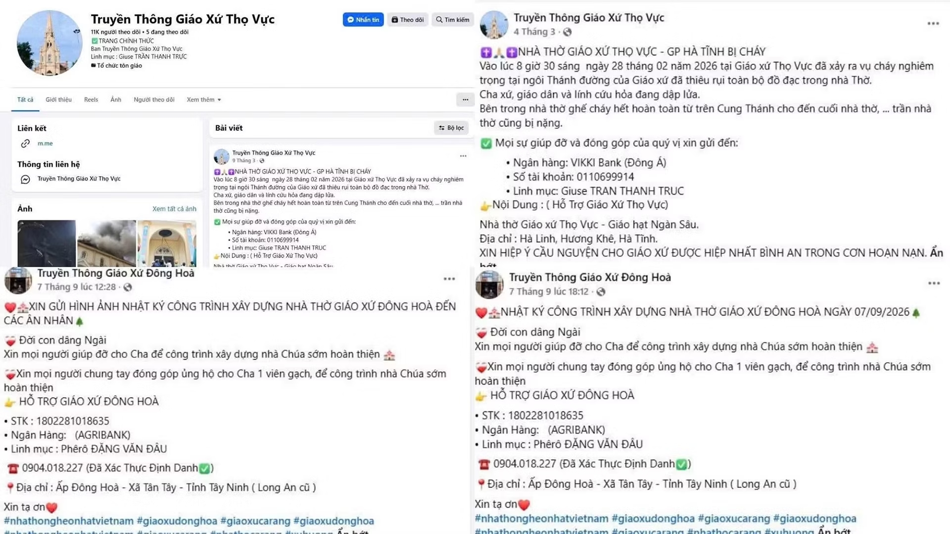 a giả danh2.avif