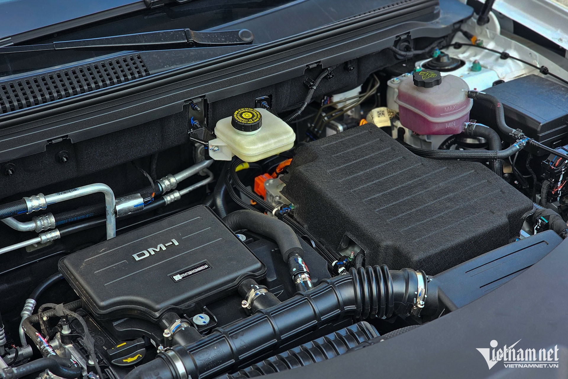 W-BYD Sealion 5 (3).jpg